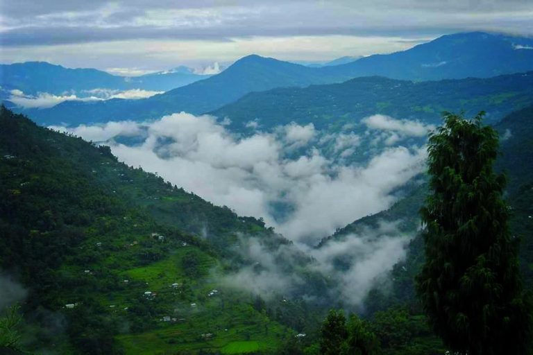 Nimang-Kalimpong--169