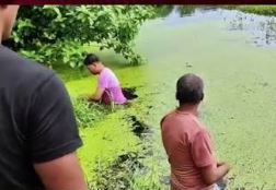 বারুইপুরে ১২ বছরের নাবালিকা হত্যা: ময়নাতদন্তে ৩৫ আঘাতের চিহ্ন, যৌন নির্যাতনের প্রমাণ, জলে ফেলার সময়ও ছিল প্রাণ! গ্রেপ্তার মূল অভিযুক্ত আনন্দ